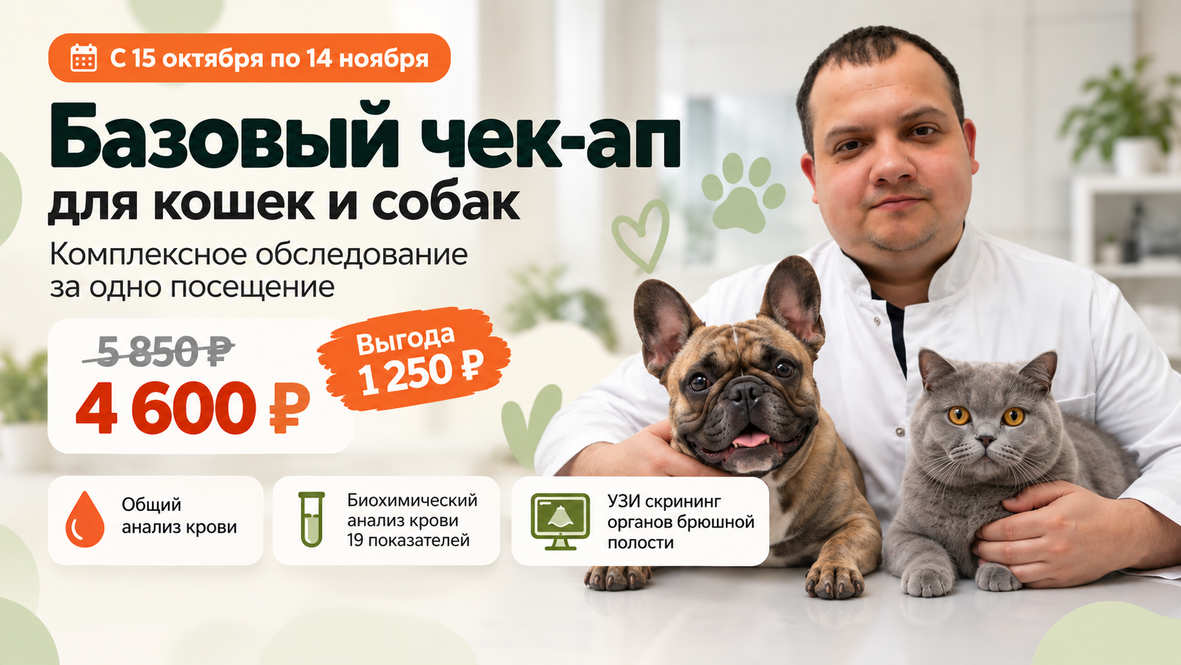 Базовый чек-ап для кошек и собак