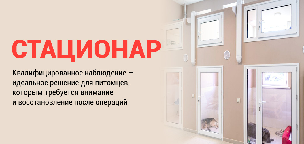 Стационар. Круглосуточное квалифицированное наблюдение для питомцев после операций